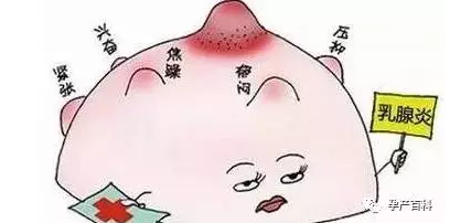 哺乳期乳腺炎，慎用抗生素！