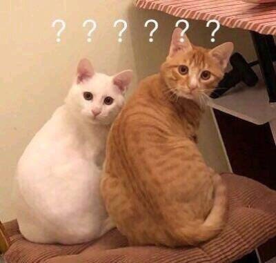 “引導(dǎo)”你會嗎？