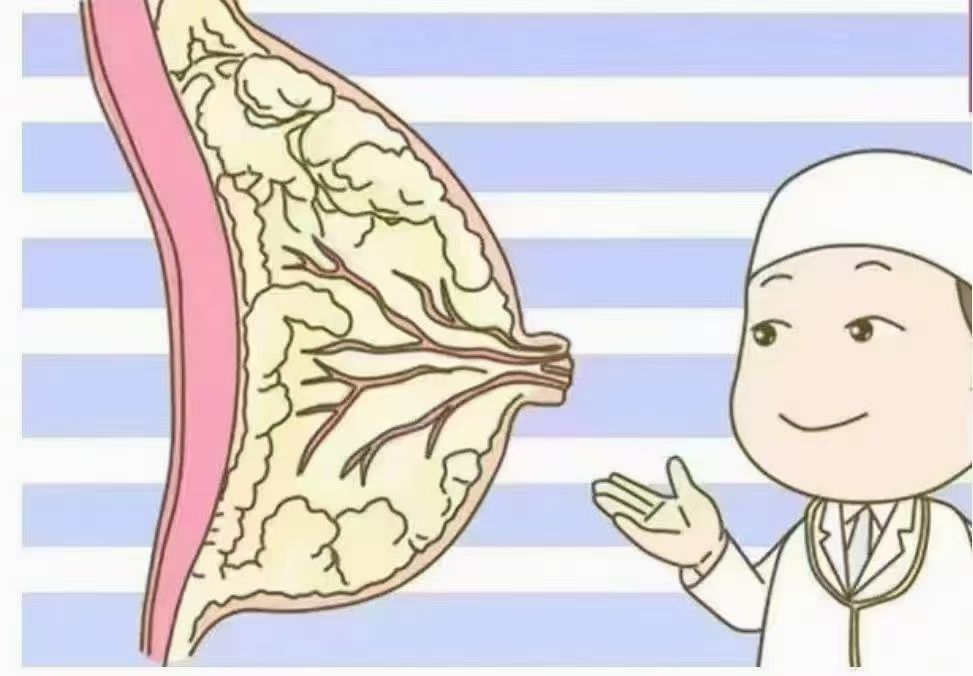 6步疏通奶結(jié)，告別乳房脹痛，月嫂必學(xué)！